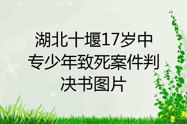 湖北十堰17岁中专少年致死案件判决书图片