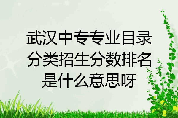 武汉中专专业目录分类招生分数排名是什么意思呀