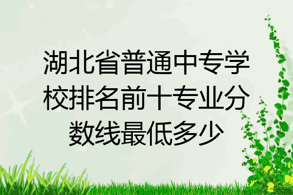 湖北省普通中专学校排名前十专业分数线最低多少