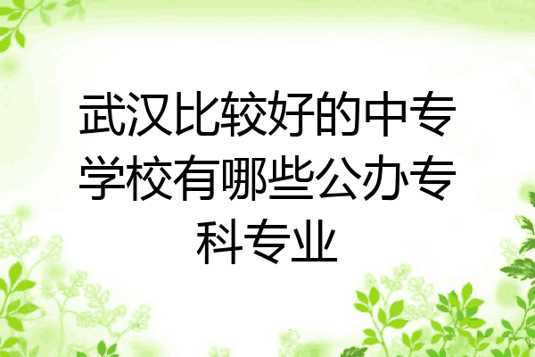 武汉比较好的中专学校有哪些公办专科专业