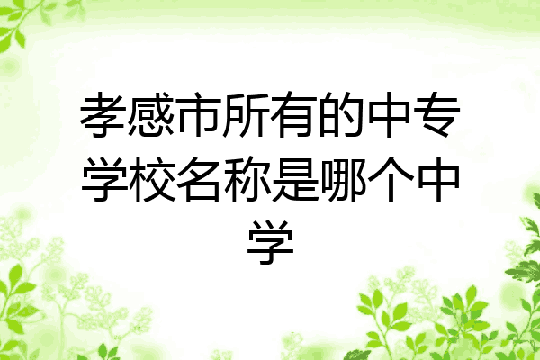 孝感市所有的中专学校名称是哪个中学