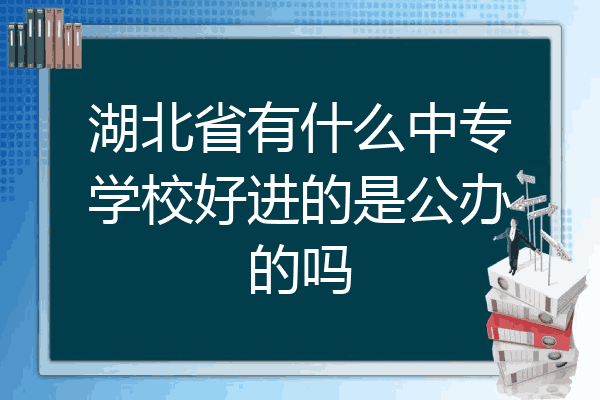 湖北省有什么中专学校好进的是公办的吗