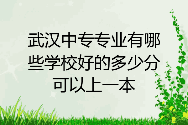 武汉中专专业有哪些学校好的多少分可以上一本