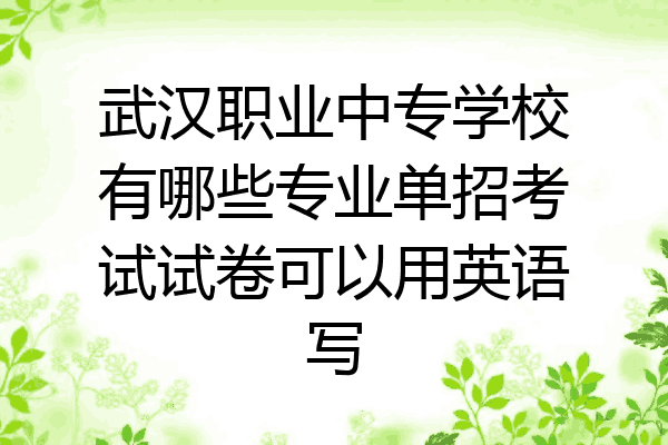 武汉职业中专学校有哪些专业单招考试试卷可以用英语写