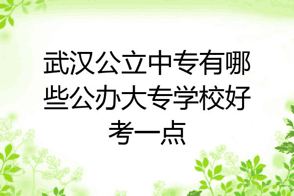 武汉公立中专有哪些公办大专学校好考一点