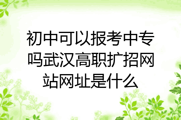 初中可以报考中专吗武汉高职扩招网站网址是什么