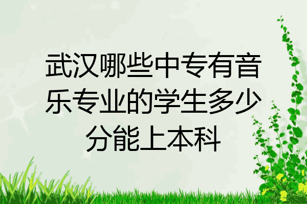 武汉哪些中专有音乐专业的学生多少分能上本科