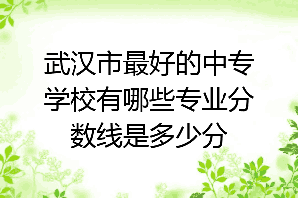 武汉市最好的中专学校有哪些专业分数线是多少分