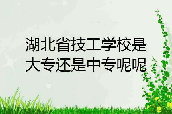 湖北省技工学校是大专还是中专呢呢