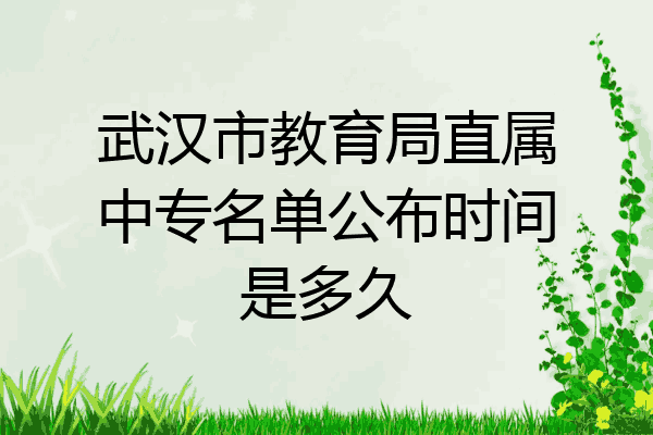 武汉市教育局直属中专名单公布时间是多久