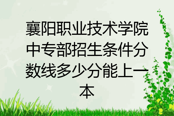 襄阳职业技术学院中专部招生条件分数线多少分能上一本