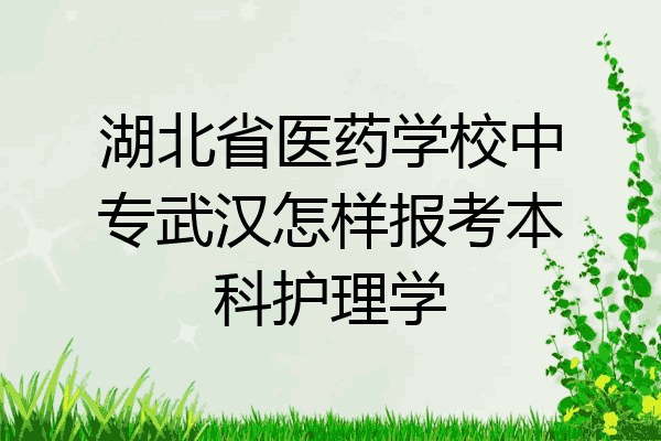 湖北省医药学校中专武汉怎样报考本科护理学