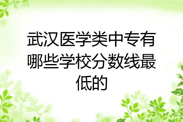 武汉医学类中专有哪些学校分数线最低的