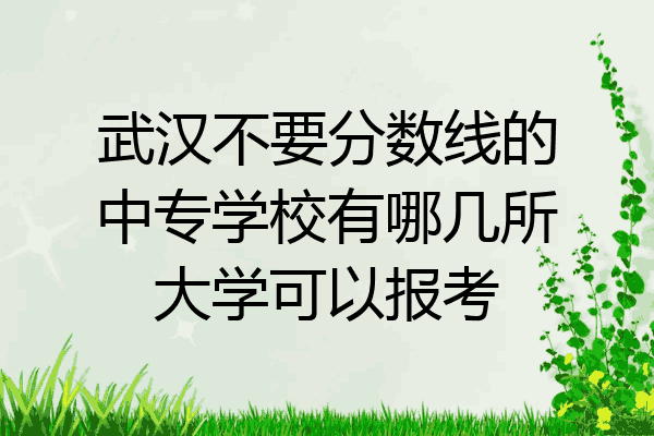 武汉不要分数线的中专学校有哪几所大学可以报考