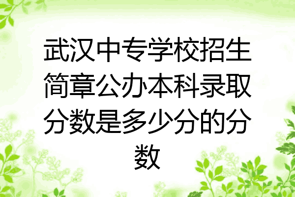 武汉中专学校招生简章公办本科录取分数是多少分的分数