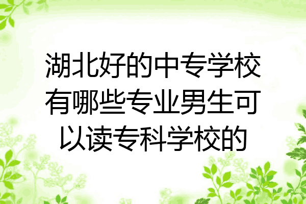 湖北好的中专学校有哪些专业男生可以读专科学校的