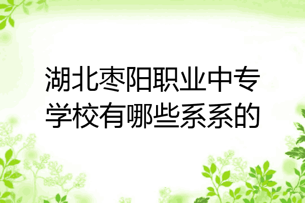 湖北枣阳职业中专学校有哪些系系的