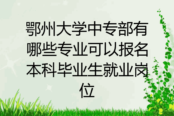 鄂州大学中专部有哪些专业可以报名本科毕业生就业岗位