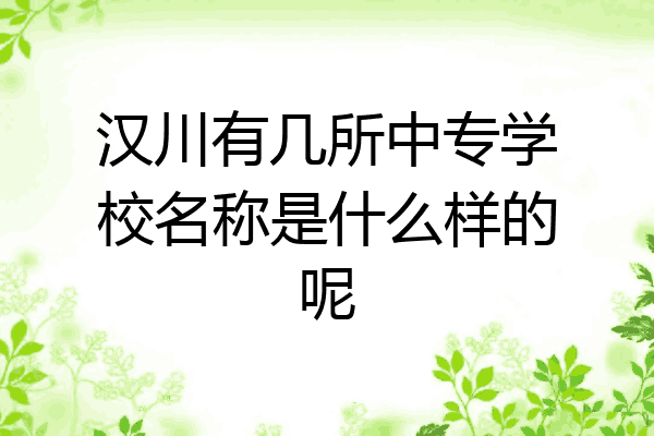 汉川有几所中专学校名称是什么样的呢