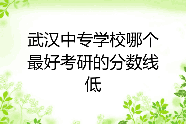 武汉中专学校哪个最好考研的分数线低
