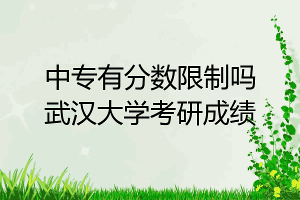 中专有分数限制吗武汉大学考研成绩