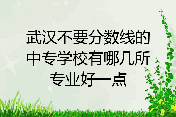 武汉不要分数线的中专学校有哪几所专业好一点