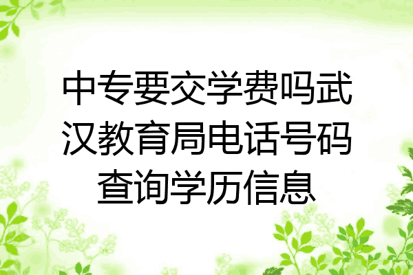 中专要交学费吗武汉教育局电话号码查询学历信息