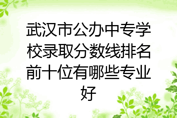 武汉市公办中专学校录取分数线排名前十位有哪些专业好