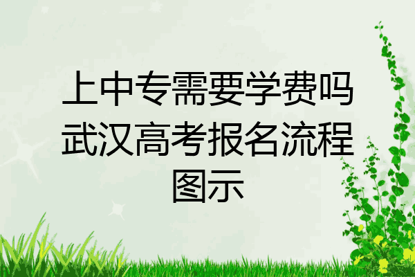 上中专需要学费吗武汉高考报名流程图示