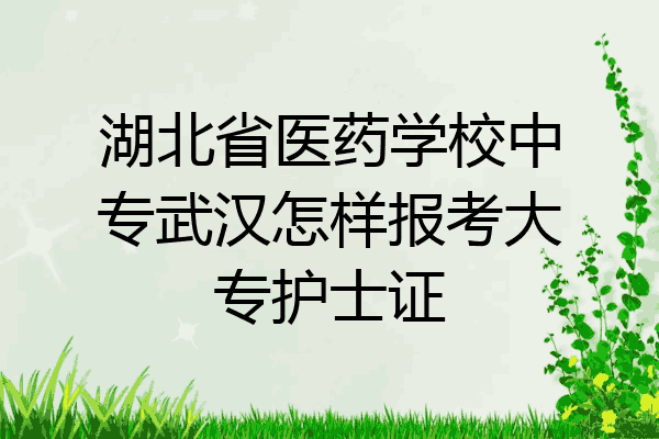 湖北省医药学校中专武汉怎样报考大专护士证