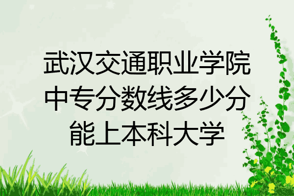 武汉交通职业学院中专分数线多少分能上本科大学