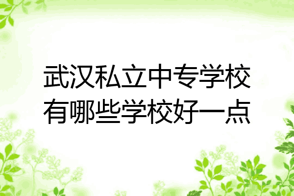 武汉私立中专学校有哪些学校好一点