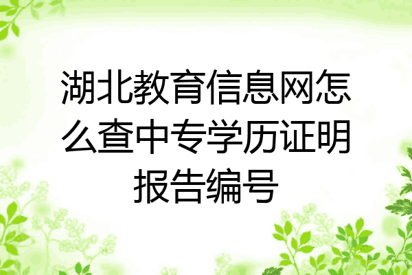 湖北教育信息网怎么查中专学历证明报告编号