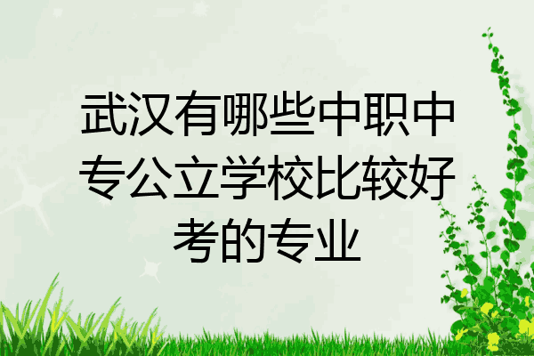 武汉有哪些中职中专公立学校比较好考的专业