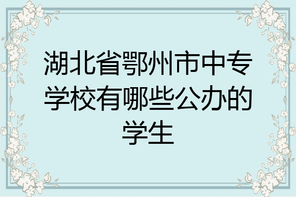 湖北省鄂州市中专学校有哪些公办的学生