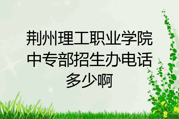 荆州理工职业学院中专部招生办电话多少啊