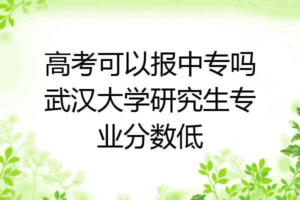 高考可以报中专吗武汉大学研究生专业分数低