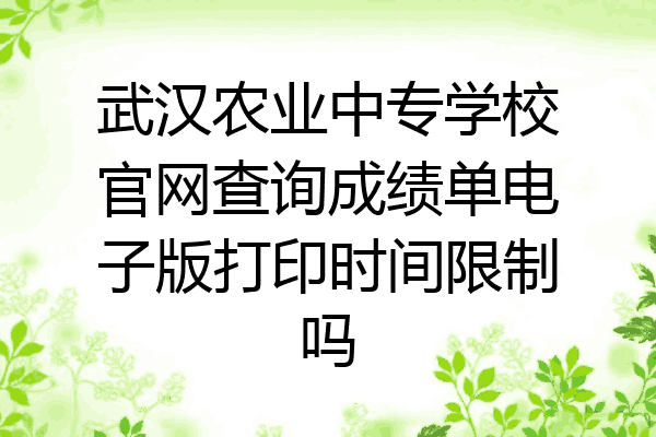武汉农业中专学校官网查询成绩单电子版打印时间限制吗
