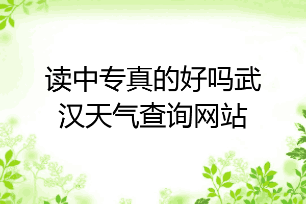 读中专真的好吗武汉天气查询网站