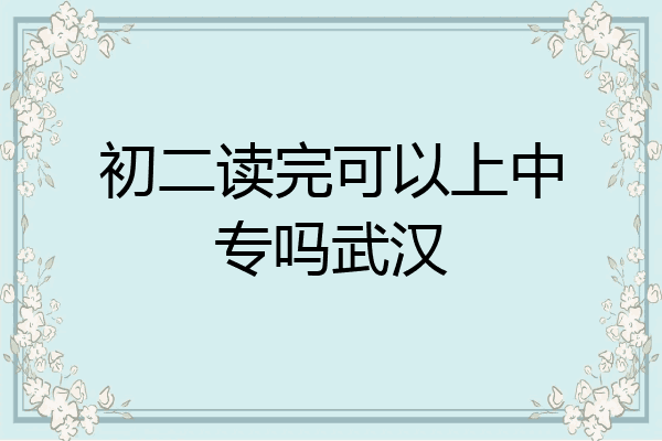 初二读完可以上中专吗武汉