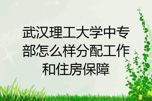 武汉理工大学中专部怎么样分配工作和住房保障