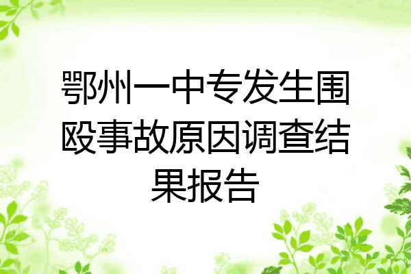 鄂州一中专发生围殴事故原因调查结果报告