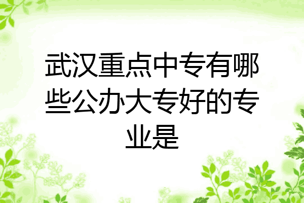 武汉重点中专有哪些公办大专好的专业是