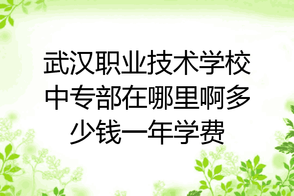 武汉职业技术学校中专部在哪里啊多少钱一年学费