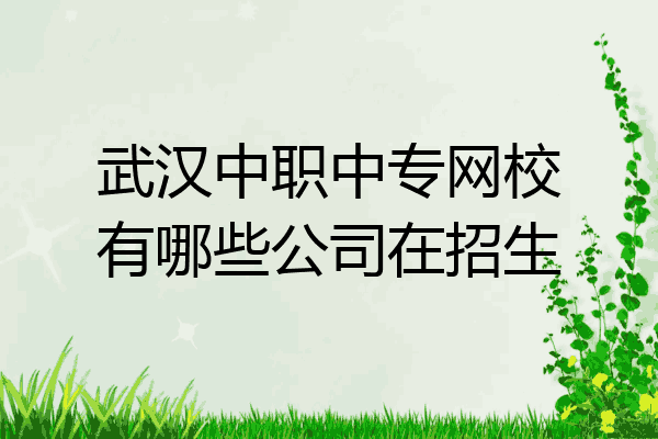 武汉中职中专网校有哪些公司在招生