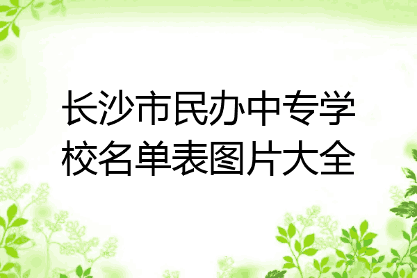 长沙市民办中专学校名单表图片大全