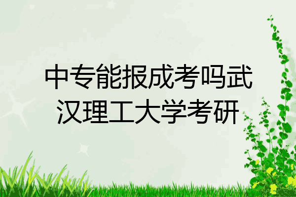 中专能报成考吗武汉理工大学考研
