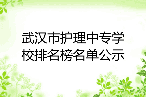 武汉市护理中专学校排名榜名单公示