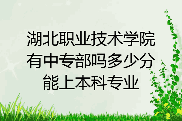 湖北职业技术学院有中专部吗多少分能上本科专业