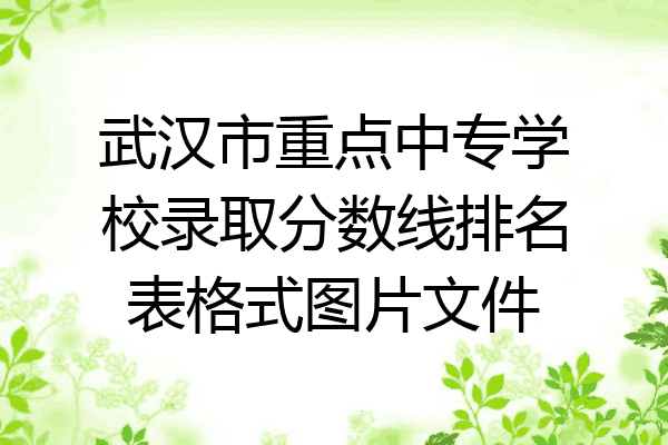 武汉市重点中专学校录取分数线排名表格式图片文件